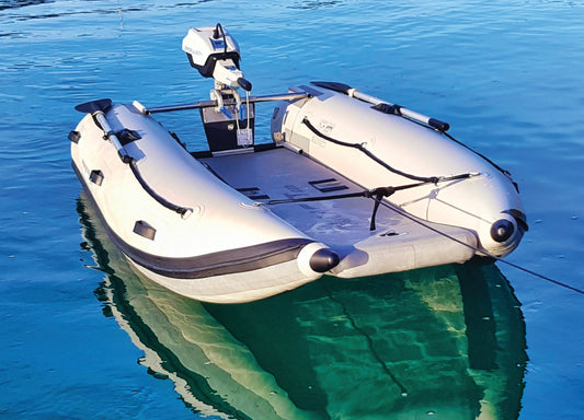 260LX Takacat and EPropulsion Spirit 1.0 Plus Bundle
